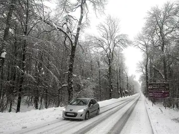 Nieve Nieve