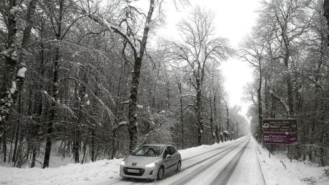 Nieve