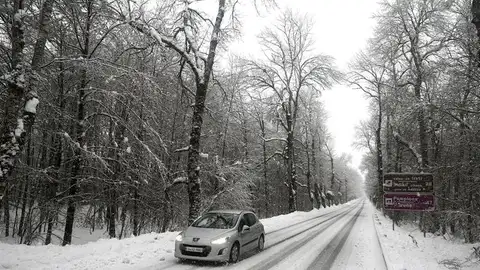 Nieve Nieve