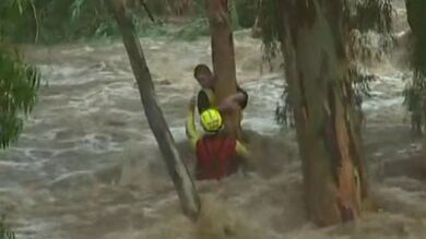 Rescatan a un joven subido a un árbol en Australia en medio de una inundación