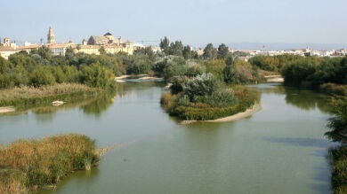 Hallan el cuerpo sin vida de un hombre flotando en el Guadalquivir