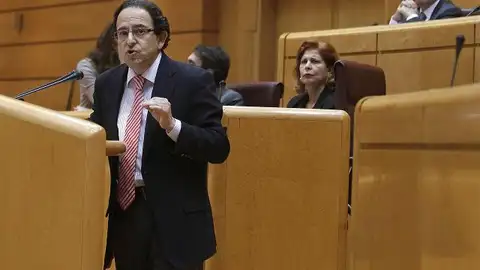 El portavoz de Interior en la Cámara Alta, Luis Aznar El portavoz de Interior en la Cámara Alta, Luis Aznar