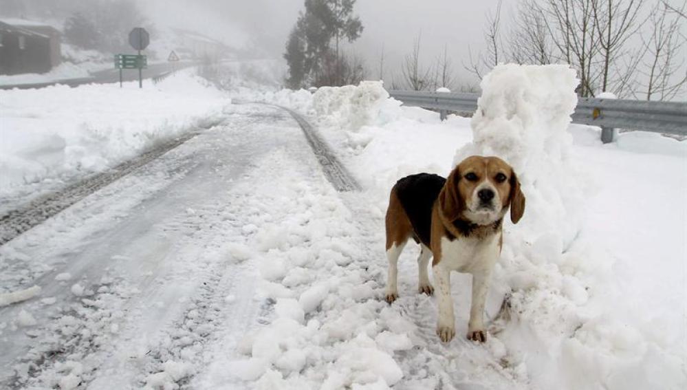 En Lugo las carreteras continúan llenas de nieve