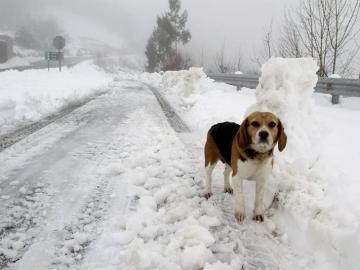 En Lugo las carreteras continúan llenas de nieve