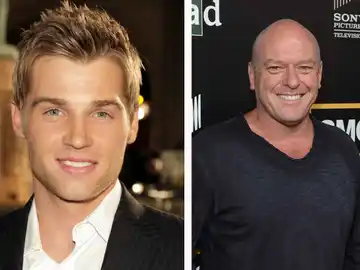 Under the Dome Under the Dome