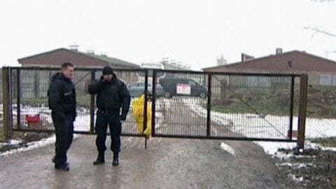 Granja alemana con caso de gripe aviar