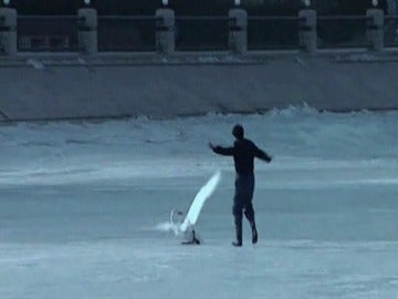 Rescate de un cisne en China Rescate de un cisne en China