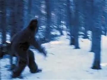 Posible imagen de un Yeti Posible imagen de un Yeti