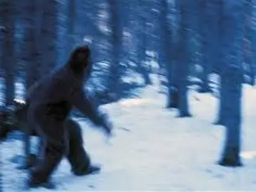 Posible imagen de un Yeti Posible imagen de un Yeti