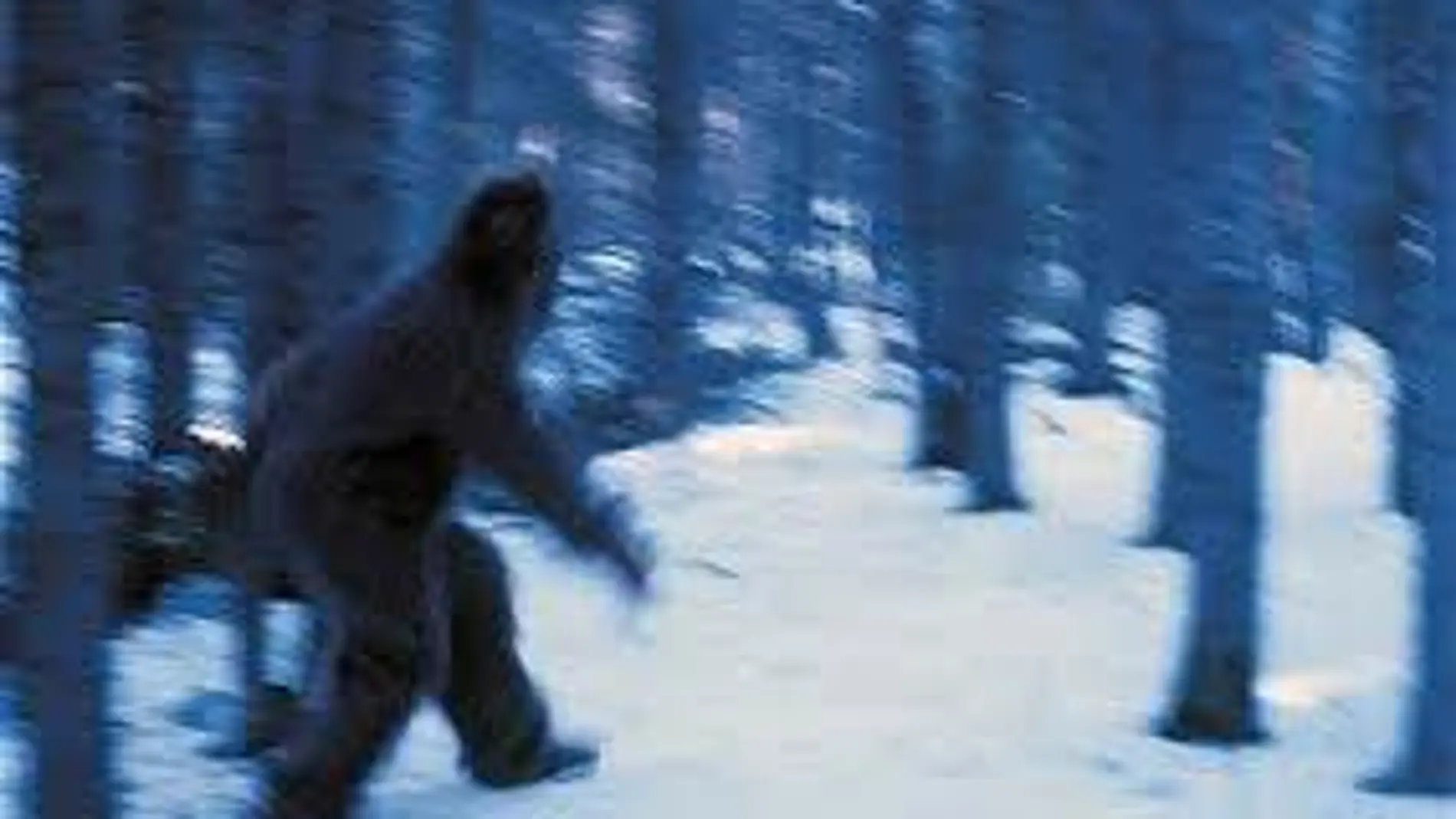 Posible imagen de un Yeti Posible imagen de un Yeti