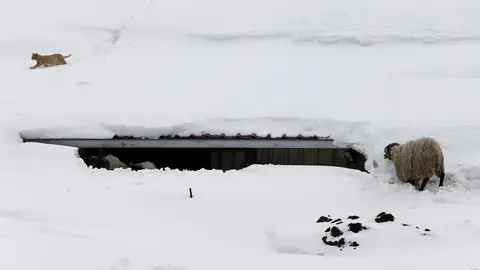 El tejado de una granja cubierta por la nieve El tejado de una granja cubierta por la nieve