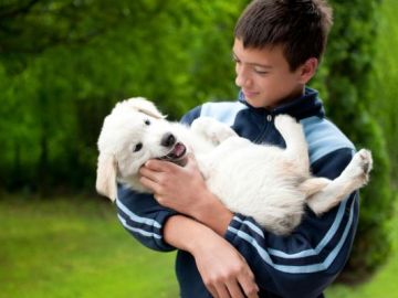 Los animales fomentan las conductas sociales en los niños autistas