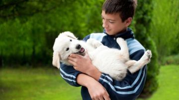 Los animales fomentan las conductas sociales en los niños autistas