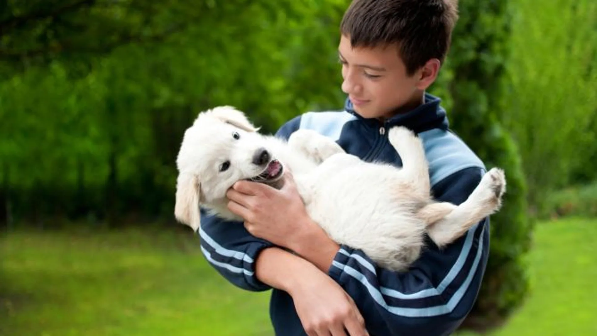 Los animales fomentan las conductas sociales en los niños autistas Los animales fomentan las conductas sociales en los niños autistas