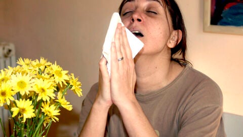 Primavera de riesgo para los al&eacute;rgicos