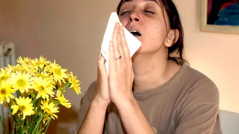 Primavera de riesgo para los alérgicos Primavera de riesgo para los alérgicos