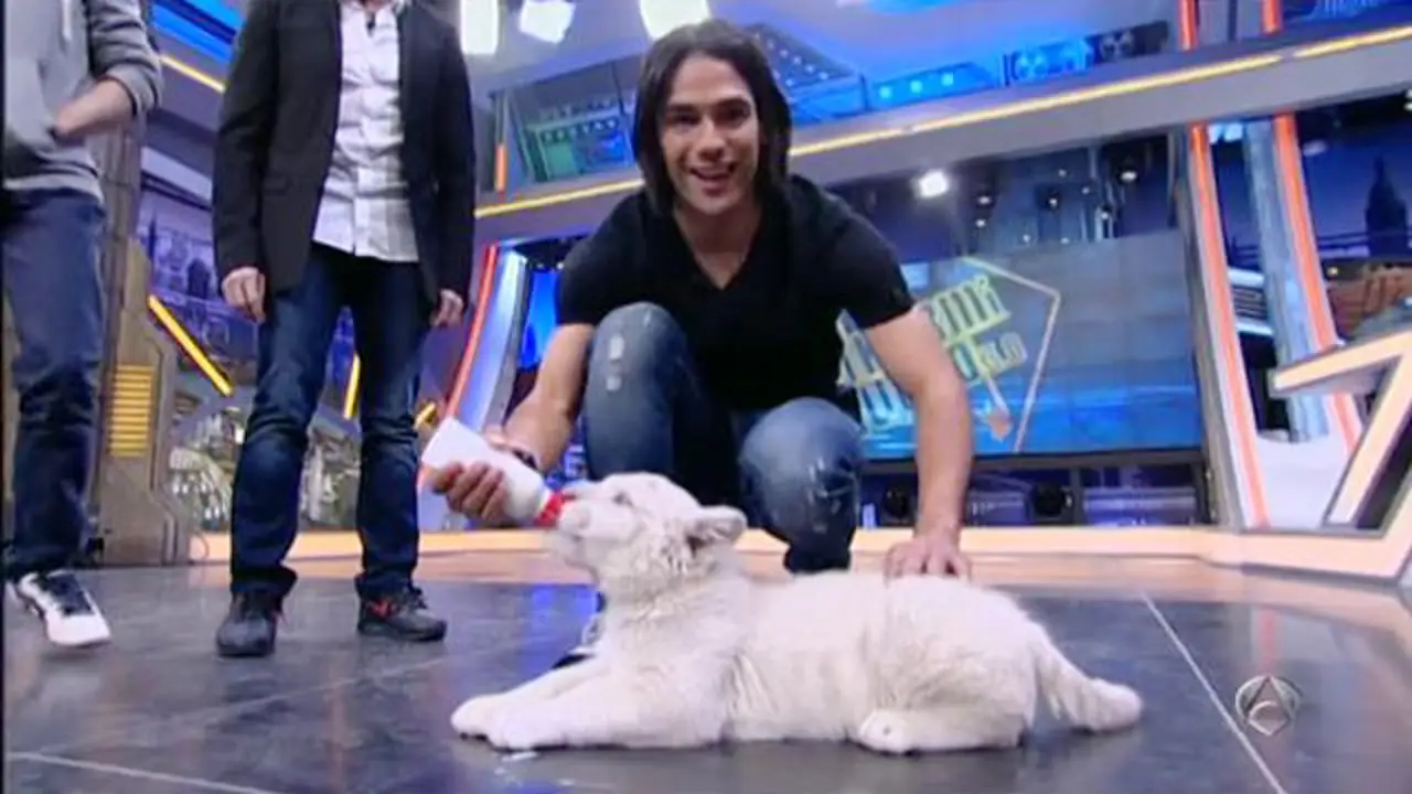 Falcao le da un biberón a un tigre