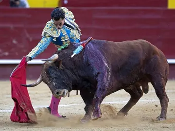 El diestro vizcaíno Ivan Fandiño durante su faena al tercer toro El diestro vizcaíno Ivan Fandiño durante su faena al tercer toro