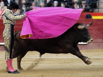 El torero Sebastián Castella El torero Sebastián Castella