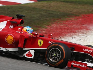 El lateral del F138 de Alonso