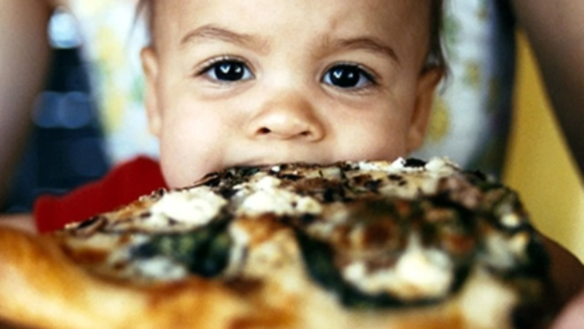 La 'comida basura' en el embarazo crea adicción La 'comida basura' en el embarazo crea adicción