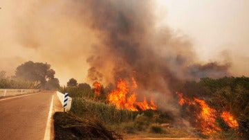 Imagen de archivo de un incendio en la Comunidad Valenciana.