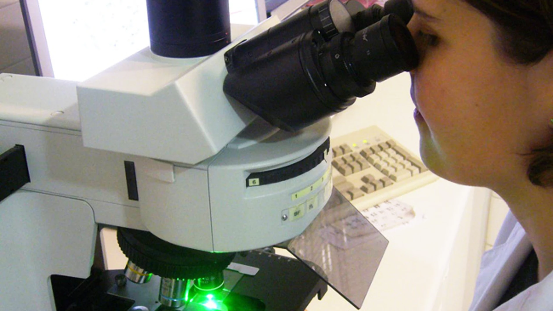 Una investigadora visualiza una muestra en el microscopio. Una investigadora visualiza una muestra en el microscopio.