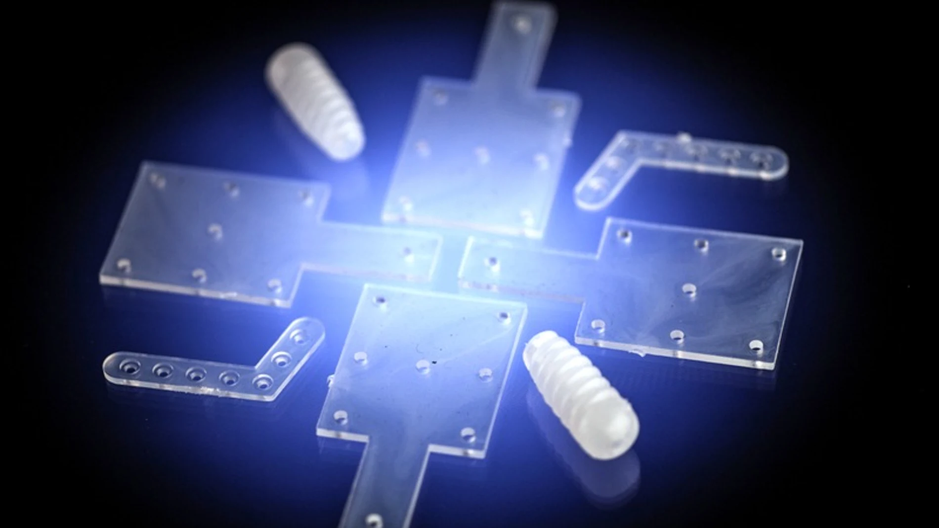 Implantes de polímeros biodegradables Implantes de polímeros biodegradables