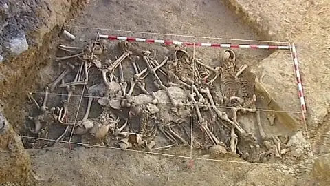 Fosa común en el País Vasco Fosa común en el País Vasco