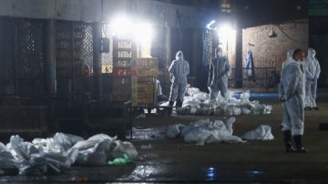 Brote de gripe aviar H7N9 en el este de China