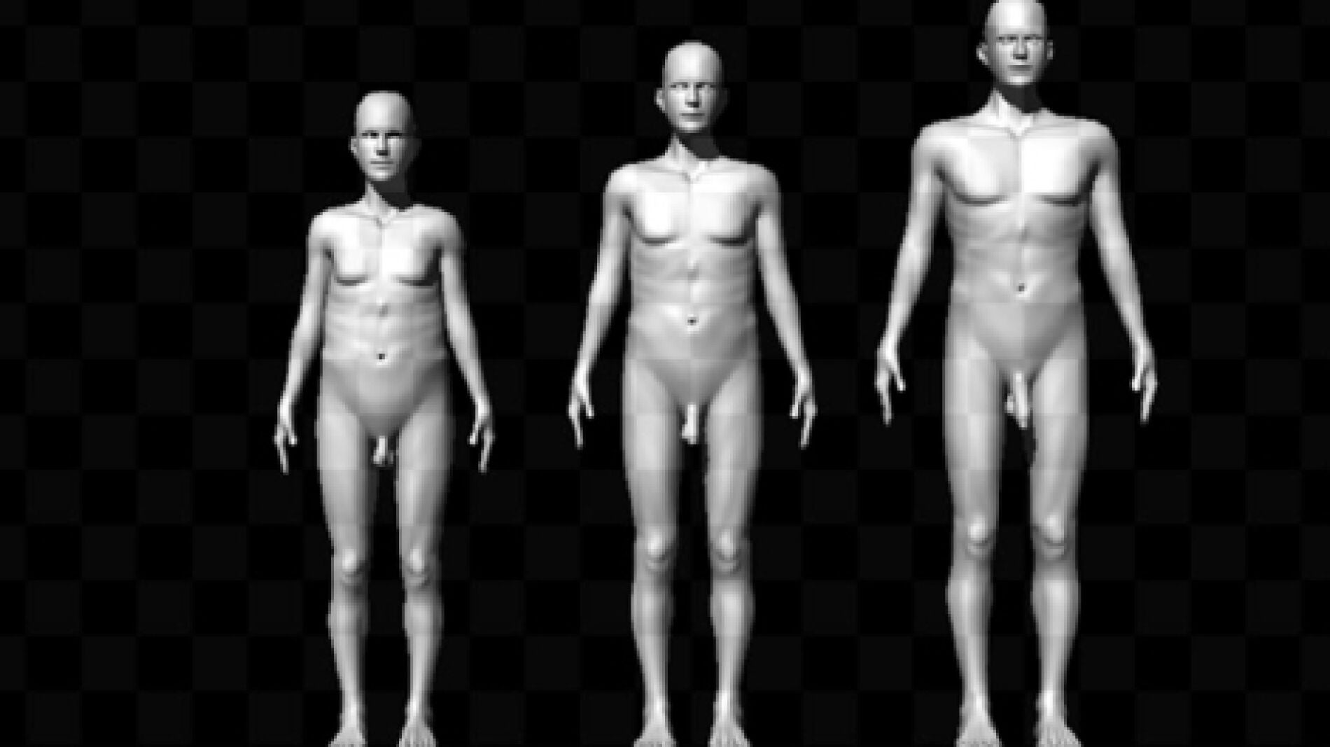 Modelos del estudio