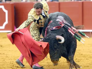 El diestro Antonio Ferrera, da un pase con la muleta a su primer toro El diestro Antonio Ferrera, da un pase con la muleta a su primer toro