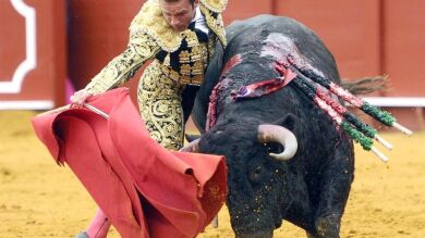 Apuntes de Eduardo Gallo e impresionante pero floja corrida de Cuadri