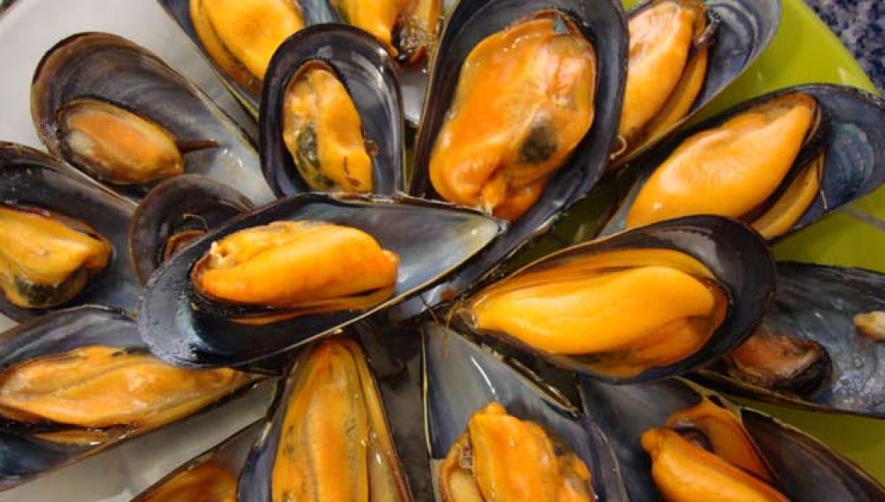 Mejillones