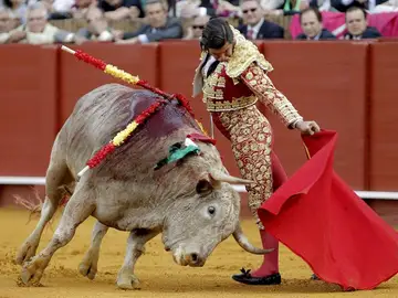 Morante de la Puebla en La Maestranza Morante de la Puebla en La Maestranza