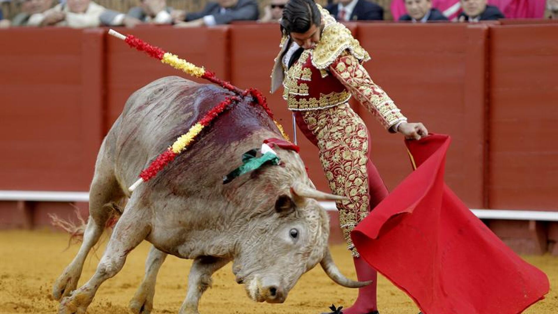 Morante de la Puebla en La Maestranza
