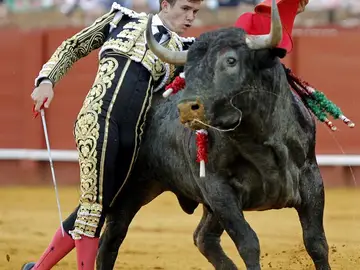 Daniel Luque en su segundo toro Daniel Luque en su segundo toro