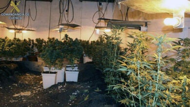 Detenido tras 8 horas atrincherado con una escopeta en una plantación subterránea de marihuana