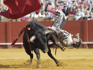 "El Juli" es cogido por el primer toro de su lote en la corrida de la Feria de Abril "El Juli" es cogido por el primer toro de su lote en la corrida de la Feria de Abril