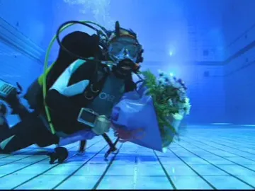 Splash! Famosos al agua Splash! Famosos al agua