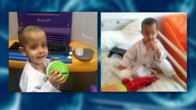 Trasplantan células de cordón umbilical entre hermanos por primera vez en España