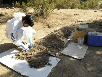 Zona donde una secta chilena quemó vivo a un bebé Zona donde una secta chilena quemó vivo a un bebé