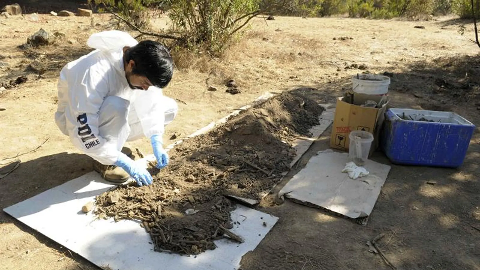 Zona donde una secta chilena quemó vivo a un bebé Zona donde una secta chilena quemó vivo a un bebé