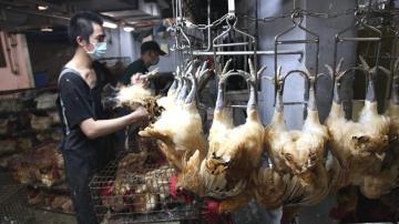 Un empleado cuelga pollos en garfios en un matadero del mercado de Huannan, en Taipei
