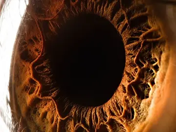 El ojo del ser humano, profundo e intenso El ojo del ser humano, profundo e intenso