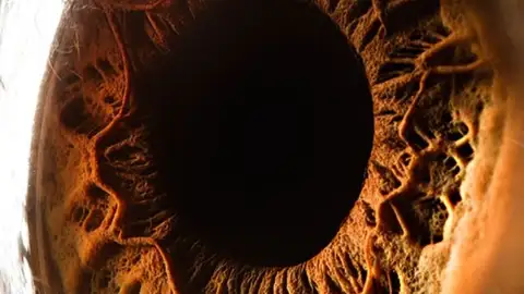 El ojo del ser humano, profundo e intenso El ojo del ser humano, profundo e intenso
