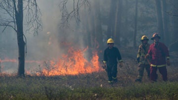 Incendio accidental provocado por unos niños