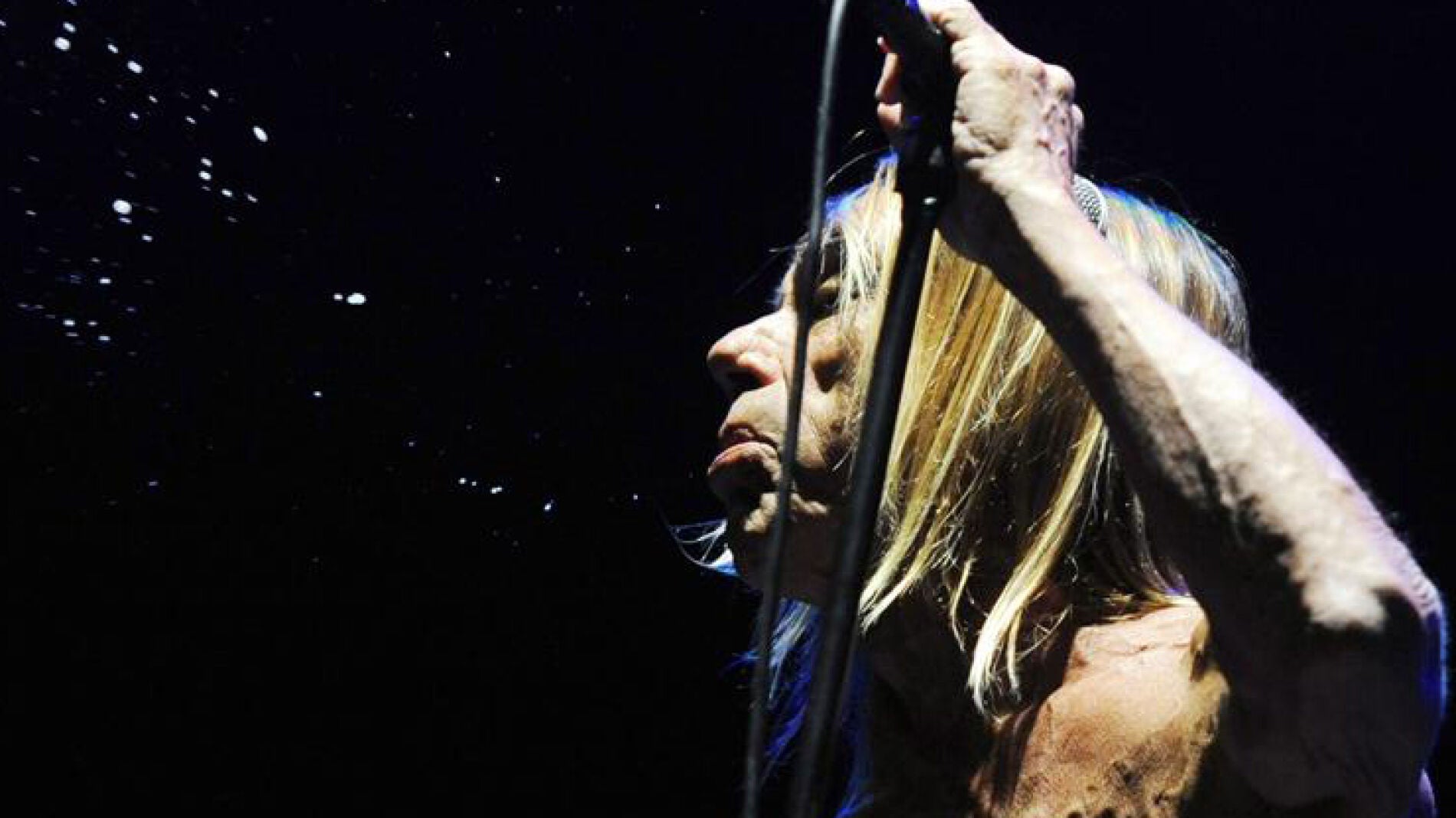 El cantante Iggy Pop