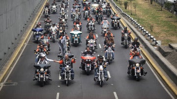 Concentración de Harley