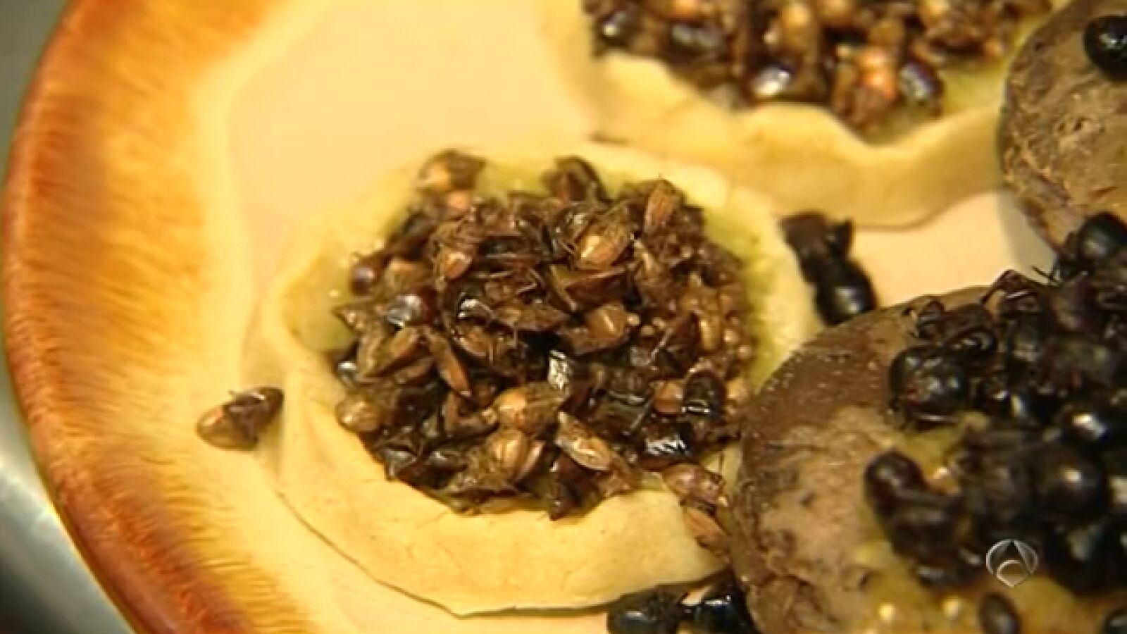 Barcelona, ciudad vanguardista en la cocina de insectos